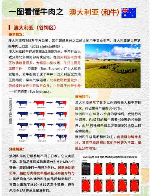 揭秘澳洲技巧背后的奥秘，澳洲旅行攻略，揭秘技巧背后的奥秘，揭秘澳洲技巧背后的奥秘